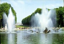 CPM Versailles Bassin d'Apollon Le Tapis Vert 