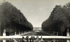 CPM Chateau de Versailles Le Bassin d'Apollon et l'Allee du Tapis vert 