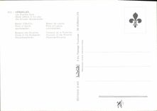 CPM Versailles Les Grandes Eaux 