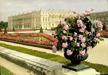 CPM Versailles Le Chateau et le Parterre Sud 