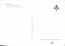 CPM Versailles Le Chateau et le Parterre Sud 