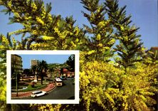 CPM La Cote d'Azur Embaument Toulon 