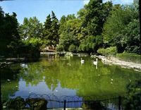 CPM Olonzac Herault Parc Municipal Bassin aux Cygnes 