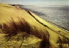 CPM Cote Atlantique La Lumiere des vacances le sable et la mer 