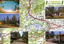 CPM Camping Caravaning Les Peupliers Cartels du Bosc 