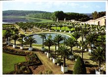 CPM Chateau de Versailles Yvelines Le Jardin de l'Orangerie 