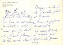 CPM Jolies Roses de France Grisbi Meilland Universal Rose Selection 