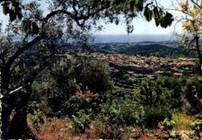 CPM Vence La Jolie Vue generale Au loin la Cote et la Mediterranee 