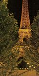 CPM Lumieres et Scenes de Paris La Tour Eiffel illuminee 