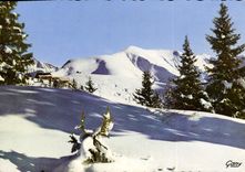 CPM Mont d'Arbois Haute Savoie Sur le chemin d'Ideal Sport 