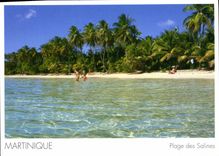 CPM Martinique Plage des Salines 