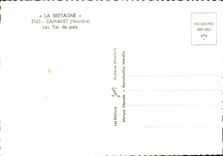 CPM Camaret Finistere Les Tas de pois