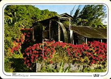 CPM Martinique Vieux moulin vers Saint Pierre 