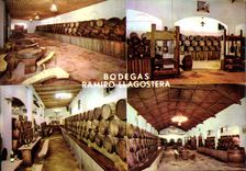 CPM Bodegas Ramiro Llagostera Costa Brava Espana 