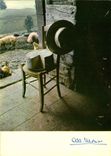 CPM Prestige de la Terre Sauveur familiere Cochons Porcs