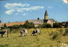 CPM La Normandie Pittoresque Village du Cotentin Vaches