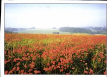 CPM Les Samaines Regionales de l'Environnement plus de 150 manifestation organisees avec le soutien 