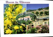 CPM La Cote d'Azur Bormes les Mimosas Var au centre Notre Dame de Constance 