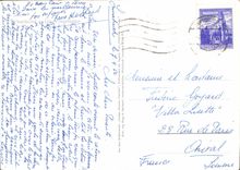 CPM Turkenbund Lilium Martagon Fleurs