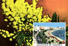 CPM Cote d'Azur Souvenir de Cannes 