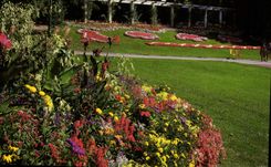 CPM Aix les Bains Savoie France ses Jardins fleuris 