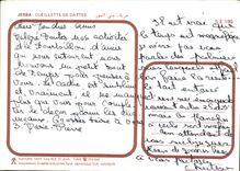 CPM Jerba Cueillette de Dattes 