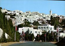 CPM Sidi Bou Said vue panoramique 