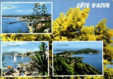 CPM Souvenir de la Cote d'Azur Nice Jean les Pins le Cap Ferrat 