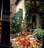 CPM La Cote d'Azur miracle de la nature Jardin fleuri de la Cote d'Azur 