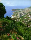 CPM Monte Carlo panorama 