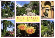 CPM Images de la Cote d'Azur Empire du soleil 