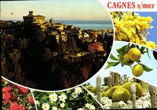 CPM La Cote d'Azur inoubliable Cagnes sur Mer 