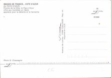 CPM Images de France Cote d'Azur au pays d'Azur Proche de la Cote le Pays d'Azur offre aux touristes