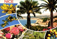 CPM Nice Cote d'Azur French Riviera vue pittoresque de la Baie des Anges 