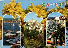 CPM Cote d'Azur French Riviera Cagnes sur Mer Alpes Maritimes 