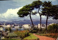 CPM La Cote d'Azur Cannes A M Les grands palaces de la Croisette vus du Marly 
