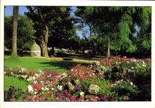 CPM Nice le Jardins du Chateau 
