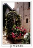 CPM Pezenas Herault Ville d'Art Hostellerie du Bat d'Argent le vieux puit 