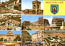 CPM Couleurs et lumiere de France Montpellier Herault Le marche aux fleurs le chateau d'eau du Peyro