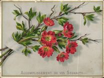 CPM Accomplissement de vos Souhaits Fleurs