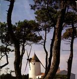 CPM Ile de Noirmoutier un des moulins de l'Ile 