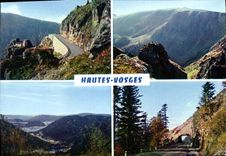 CPM Souvenir des Hautes Vosges 