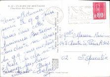 CPM Fleurs de Bratagne Chardons des Dunes 