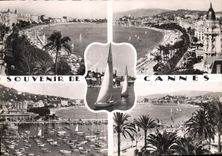 CPM La Cote d'Azur Cannes 