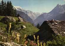 CPM Les Alpes en Couleurs naturelles Refuge de berger en haute montagne 