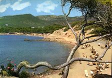 CPM Mallorca Baleares Espana Paguera Playas 