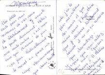 CPM Lumiere et Beaute de la Cote d'Azur Souvenir du Brusc 