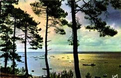 CPM Couleurs et lumiere de France Arcachon Gironde Crepuscule sur le Bassin d'Arcachon 