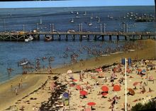 CPM Couleurs et lumiere de France Baie d'Arcachon Arcachon Gironde la Plage 
