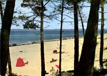 CPM Arcachon Gironde la nouvelle Plage du Parc Pereire 